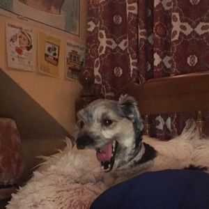 Tired of your same old clothes?